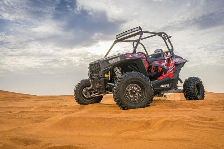 Morning Buggy Ride