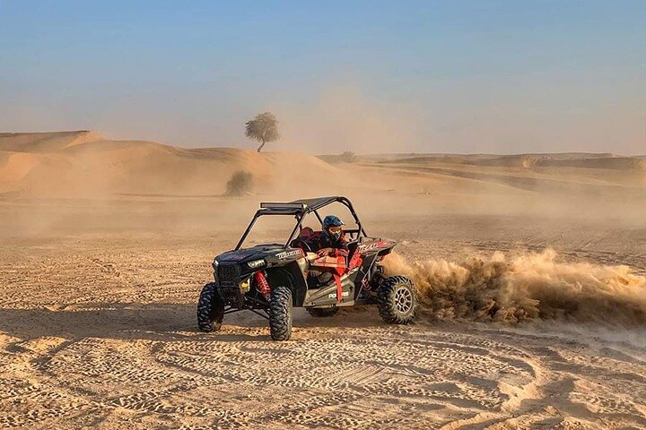 Morning Buggy Ride